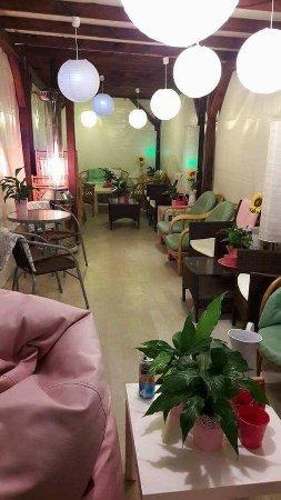 Lody Naturalne Na Placu